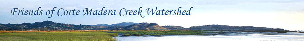 Friends of Corte Madera Creek Watershed
