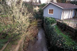 Creek Encroachment