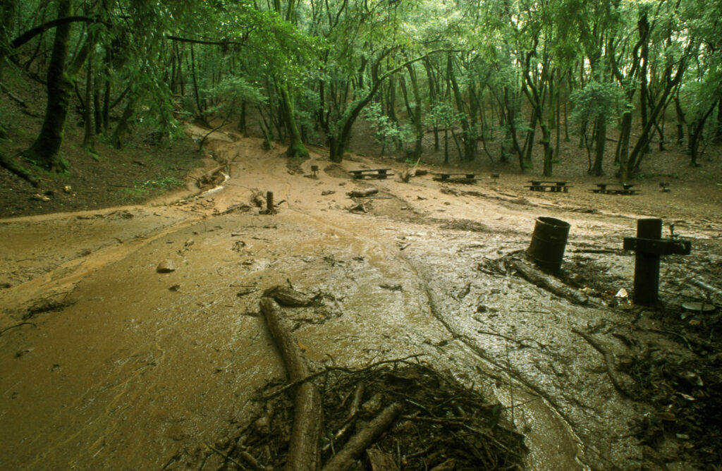Mud from a land slide covers a picnic area in Deerk Park, Fairfax