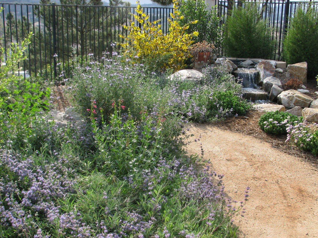 Landscaping with native plants for habitat and fire resistance. Photo by Greg Rubin