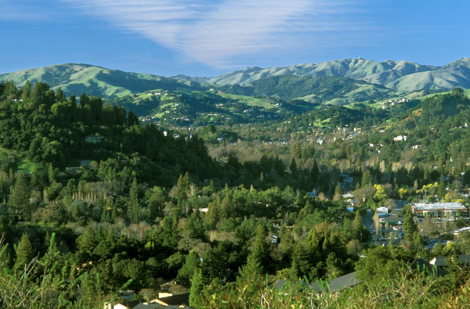 Get Involved With Corte Madera Friends Of Corte Madera get-involved-with-corte-madera-friends-of-corte-madera