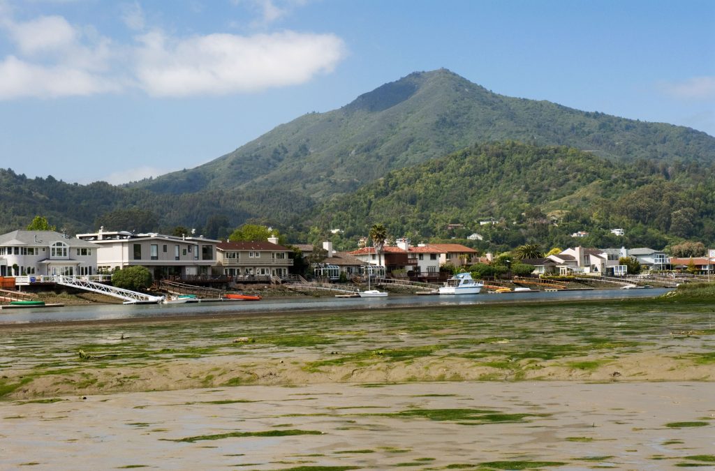 The corte madera mud flats