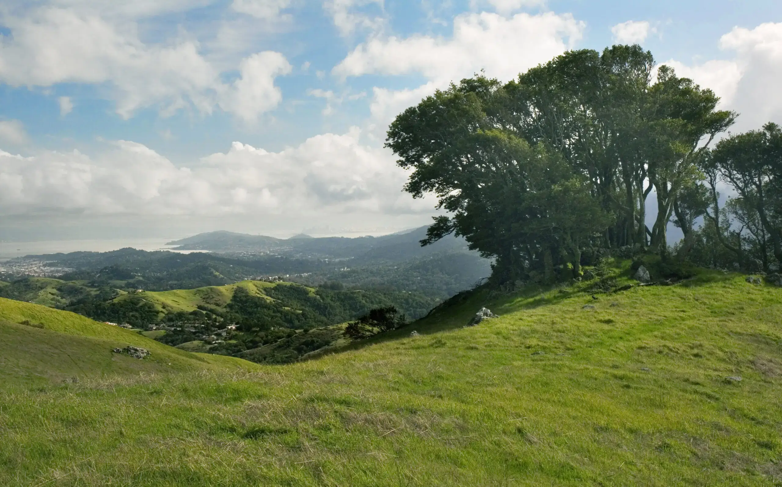 Green hill with trees and distant mountains.