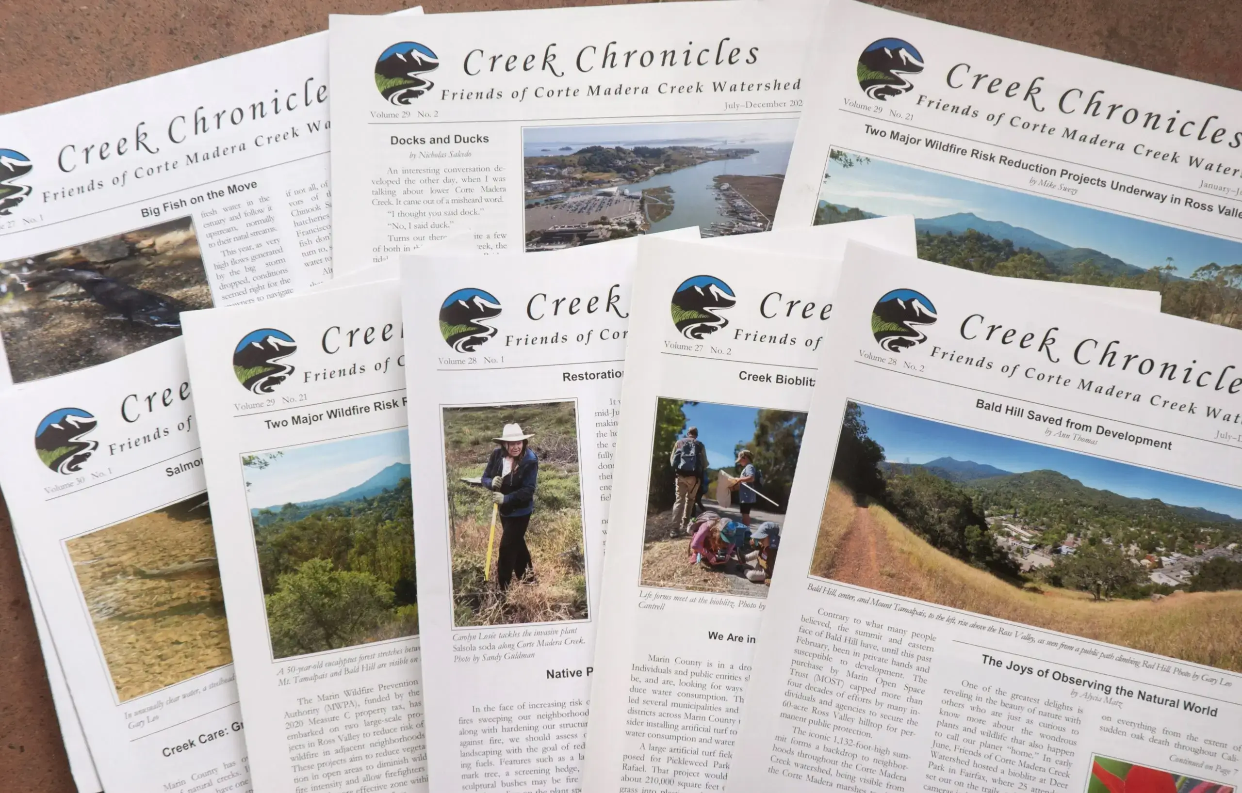 Creek Chronicles printed out and fanned out on a table.